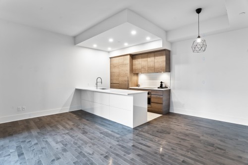 Kitchen - 704-1025 Rue De La Commune E., Montréal (Ville-Marie), QC - Indoor Photo Showing Kitchen
