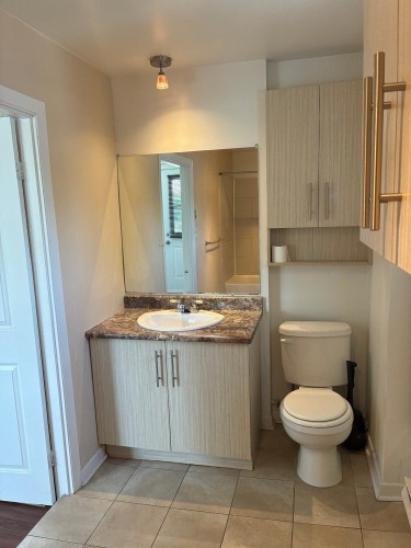 Bathroom - 302-298  - 304 Rue Latour, Saint-Jérôme, QC - Indoor Photo Showing Bathroom
