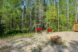 Wooded area - 