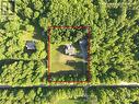 \"2 ACRES\" WITH MAPLE TREES OUT BACK. [SYRUP???] - 462028 Concession 24 Road, Georgian Bluffs, ON 