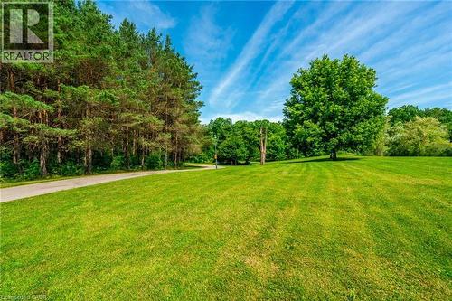 View of yard - 18 Westie Road, Brantford, ON 