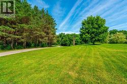 View of yard - 