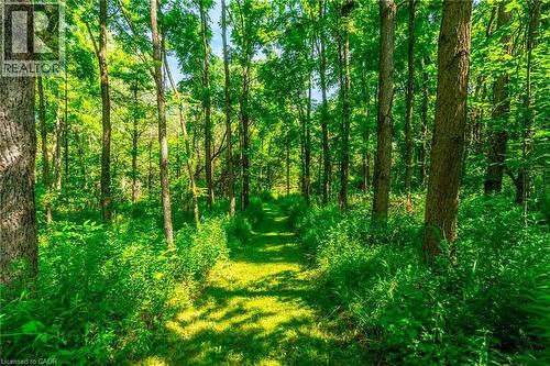 View of landscape with a wooded view - 18 Westie Road, Brantford, ON 
