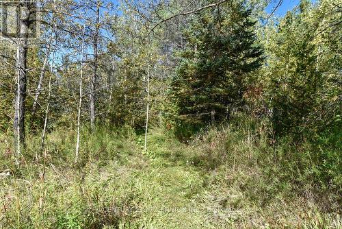 19976 Kennedy Road, Caledon, ON 