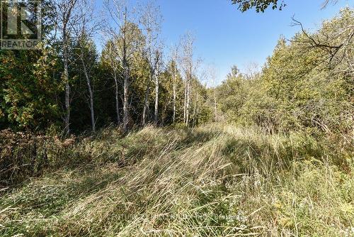 19976 Kennedy Road, Caledon, ON 