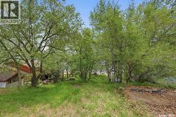 66 Summerfeldt DRIVE Thode, SK S0K 1K0