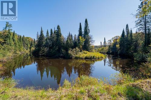 1190 Hekkla Road, Muskoka Lakes (Cardwell), ON 