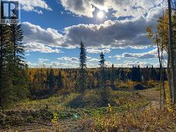 12521 BRAESIDE ROAD Vanderhoof, BC V0J 3A2