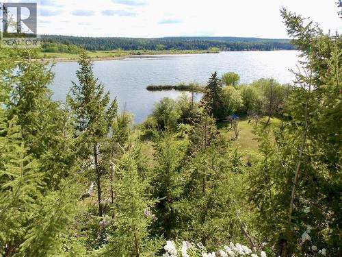 4126 Mckinley Drive, Lac La Hache, BC 