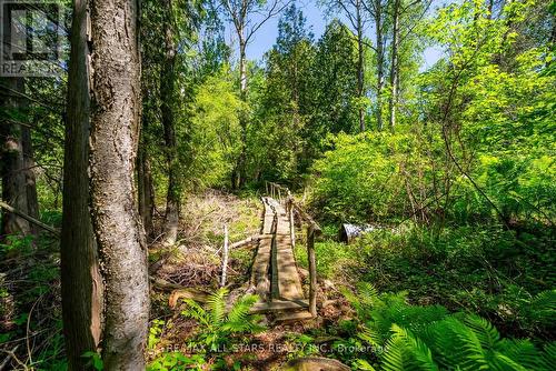5146 Cherry Street, Whitchurch-Stouffville, ON 
