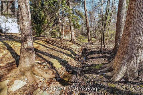 1252 Mona Road, Mississauga, ON 