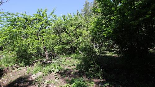 7735 Stewart Road, Fauquier, BC 