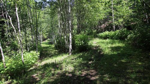 7735 Stewart Road, Fauquier, BC 