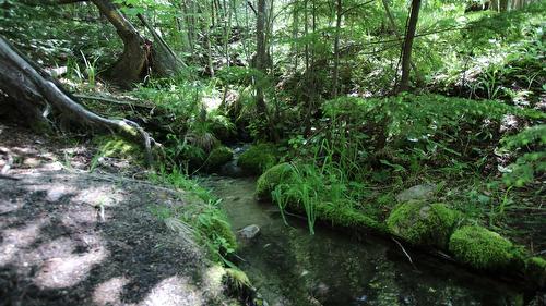 7735 Stewart Road, Fauquier, BC 