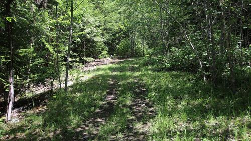 7735 Stewart Road, Fauquier, BC 