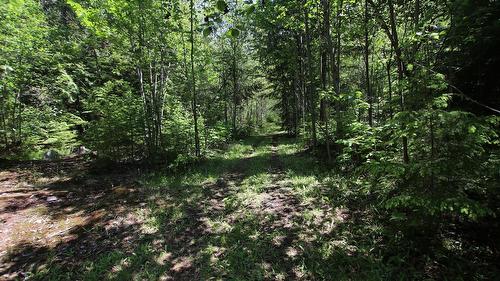 7735 Stewart Road, Fauquier, BC 