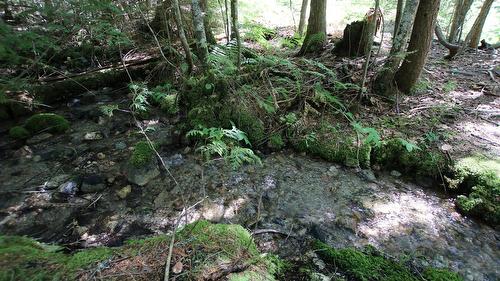 7735 Stewart Road, Fauquier, BC 