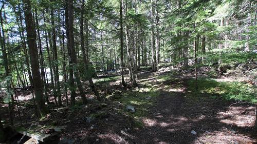 7735 Stewart Road, Fauquier, BC 