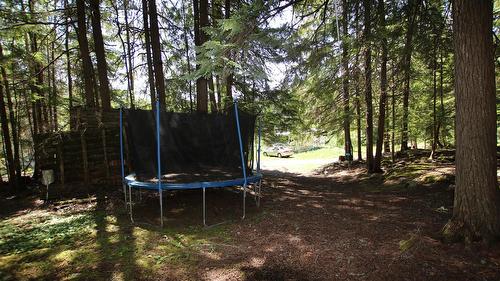 7735 Stewart Road, Fauquier, BC 