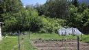 7735 Stewart Road, Fauquier, BC 