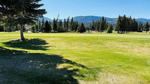 5179 Riverview Road, Fairmont Hot Springs, BC - Outdoor With View