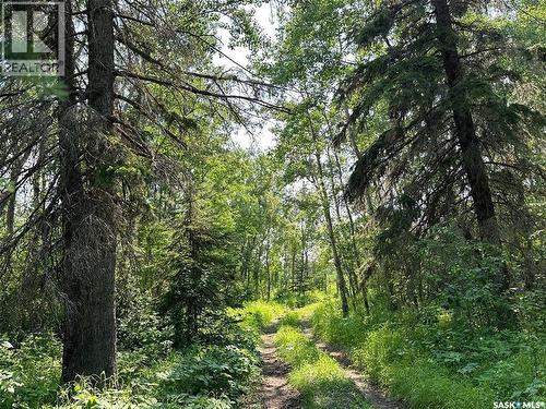 The Woodlands, Iroquois Lake, SK 