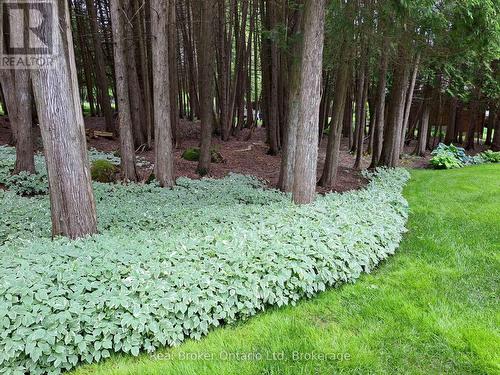 222431 Derby-Keppel Townline, Georgian Bluffs, ON 