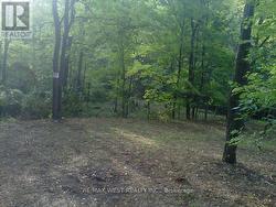 PT LT 4 SULPHUR SPRING DRIVE Pelham, ON L0S 1M0