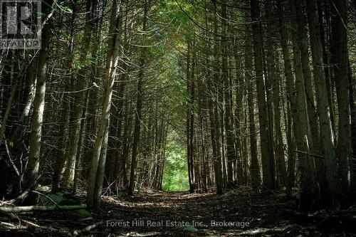 496629 Grey Road 2, Blue Mountains, ON 