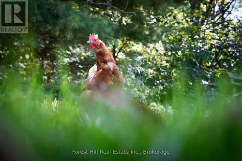496629 Grey Road 2, Blue Mountains, ON 