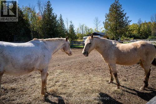 496629 Grey Road 2, Blue Mountains, ON 