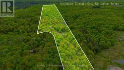 47 ACRE LAND OUTLINE! - 