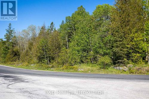 Right Lot - 205 East Road, Northern Bruce Peninsula, ON 