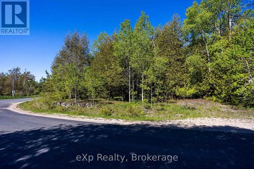 Right Lot - 205 East Road, Northern Bruce Peninsula, ON 