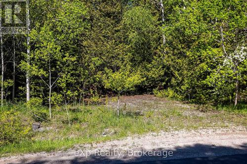 Right Lot - 205 East Road, Northern Bruce Peninsula, ON 