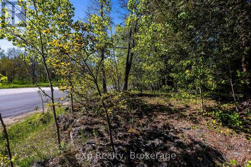 Right Lot - 205 East Road, Northern Bruce Peninsula, ON 