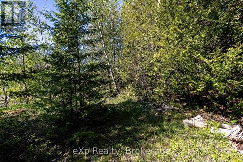 Right Lot - 205 East Road, Northern Bruce Peninsula, ON 
