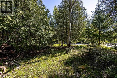 Right Lot - 205 East Road, Northern Bruce Peninsula, ON 