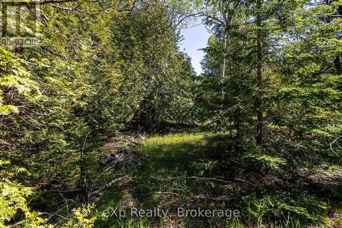 Right Lot - 205 East Road, Northern Bruce Peninsula, ON 