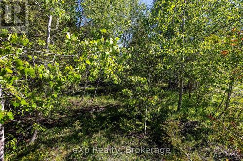 Right Lot - 205 East Road, Northern Bruce Peninsula, ON 