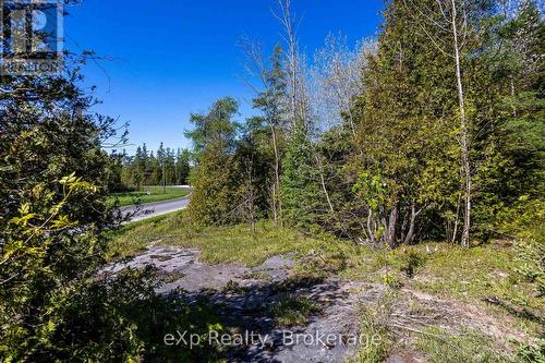 Right Lot - 205 East Road, Northern Bruce Peninsula, ON 