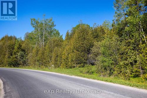 Left Lot - 205 East Road, Northern Bruce Peninsula, ON 