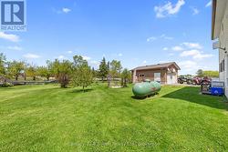 Yard - 