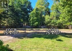 Lot A for sale. Lot B sold separately. - 