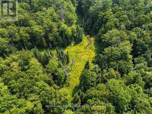 3529 Highway 118 E, Bracebridge, ON 