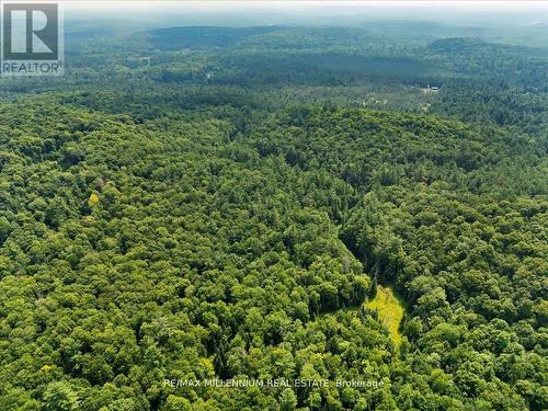 3529 Highway 118 E, Bracebridge, ON 
