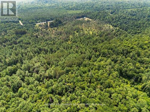 3529 Highway 118 E, Bracebridge, ON 