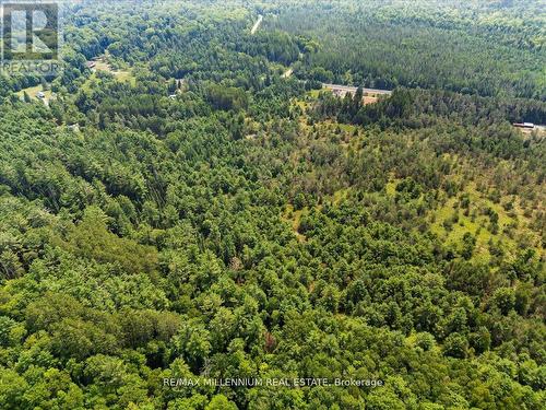 3529 Highway 118 E, Bracebridge, ON 