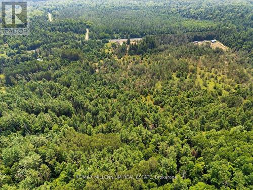 3529 Highway 118 E, Bracebridge, ON 