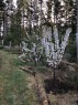 3150 Cedar Coast Dr, Sooke, BC 